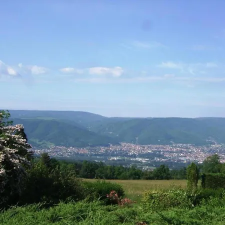 With Barbecue, In Pyrenees *
